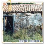 Recomendado: Alma de tapera