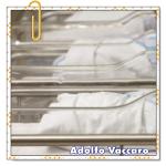 Recomendado: Imputabilidad