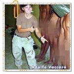Recomendado: Invectiva