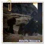 Recomendado: Menhires