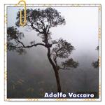 Recomendado: P&aacute;ramo