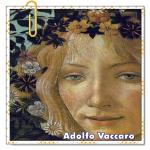 Recomendado: Primavera