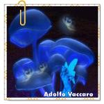 Recomendado: Rapsodia en azul