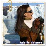 Recomendado: Sin arrepentimiento