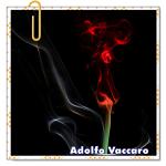 Recomendado: Verberar