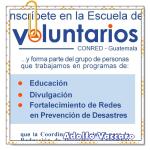 Recomendado: Volante