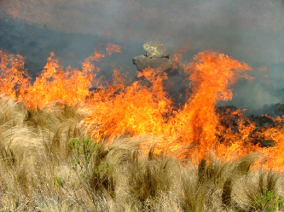 Hasta-el-humo-se-hace-humo