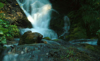 Torrente