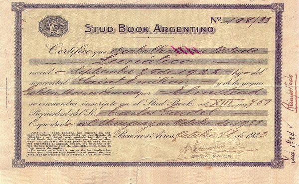 Carta-de-un-pura-sangre-a-su-ídolo Carta-de-un-pura-sangre-a-su-ídolo