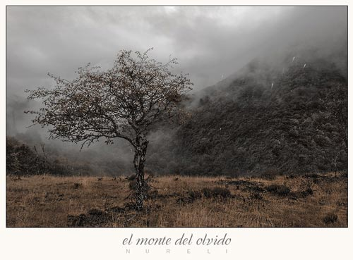 El-olvido-del-nunca El-olvido-del-nunca