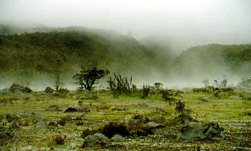 El-páramo El-páramo