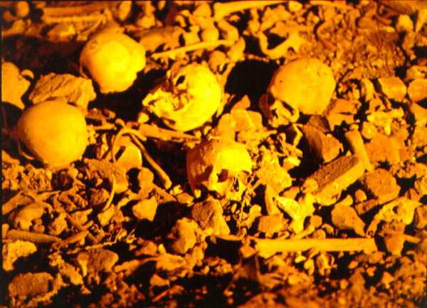 Justicia-madre Justicia-madre