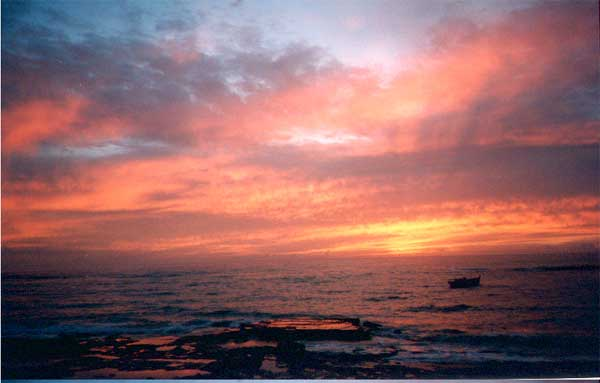 Yo-te-regalo Yo-te-regalo