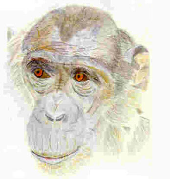 ¿Regalo-o-vaticinio? ¿Regalo-o-vaticinio?